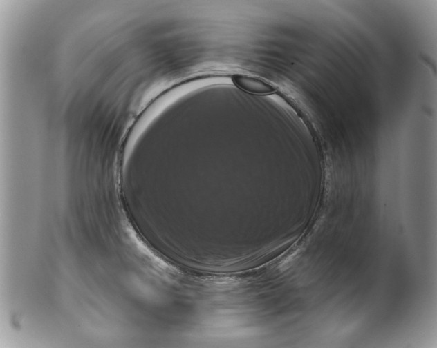 X0000099951382200806131438