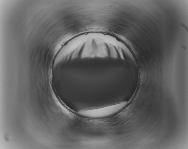 X0000099951383200806131438