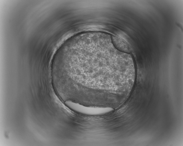 X0000099951384200806131438