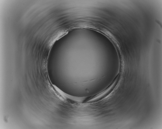 X0000099951385200806131438