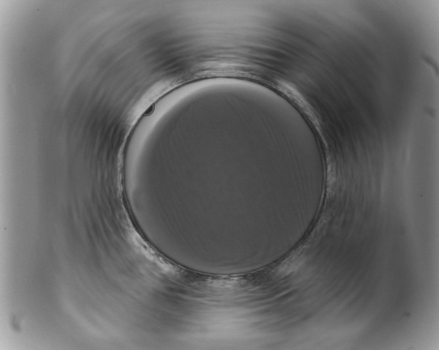 X0000099951386200806131438