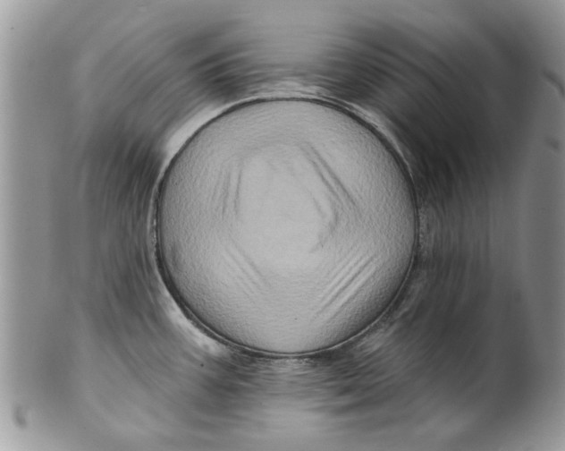 X0000099951387200806131438