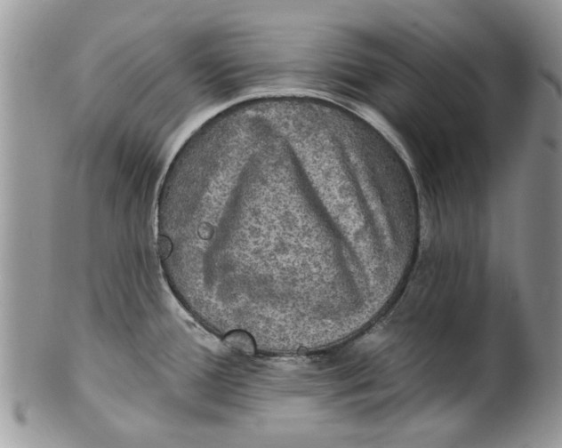 X0000099951388200806131438