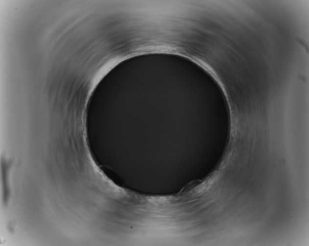 X0000099951389200806131438