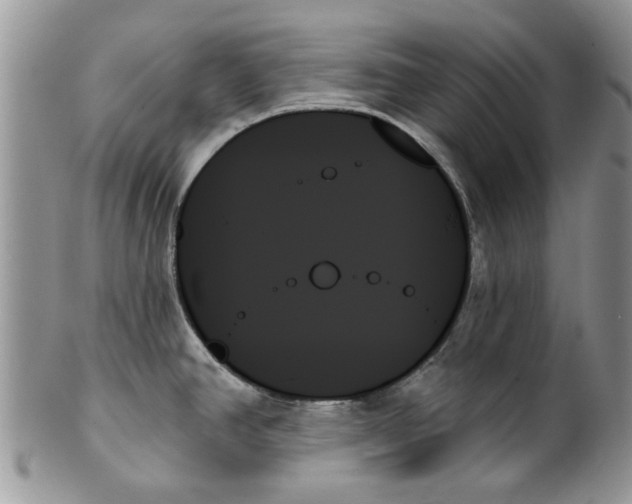 X0000099951390200806131438