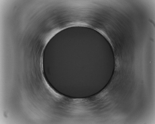 X0000099951391200806131438