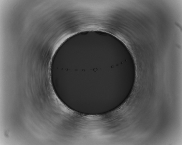 X0000099951392200806131438