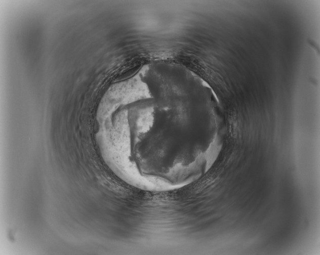 X0000099951393200806131437