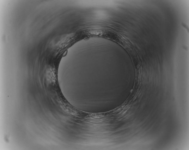 X0000099951394200806131437