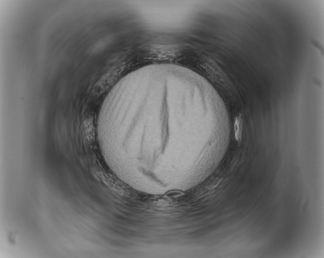 X0000099951395200806131437