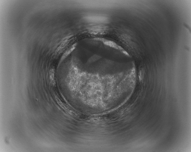 X0000099951396200806131437