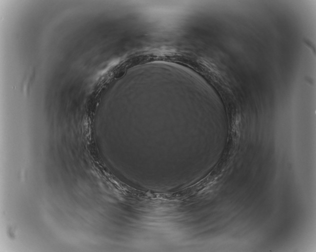 X0000099951398200806131437