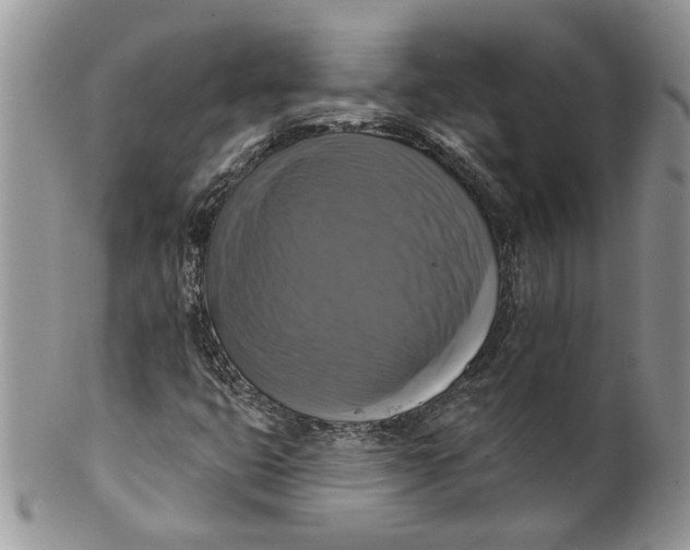 X0000099951399200806131437