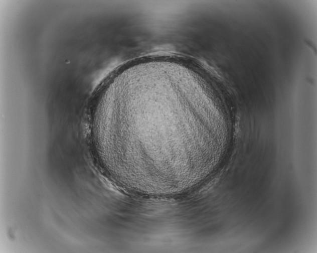 X0000099951400200806131437