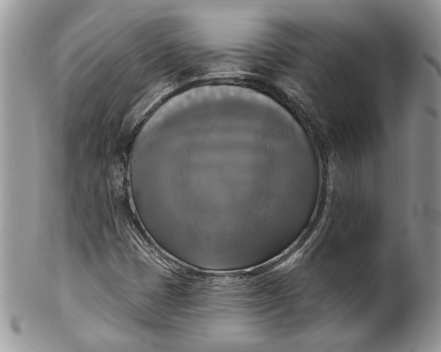 X0000099951401200806131437