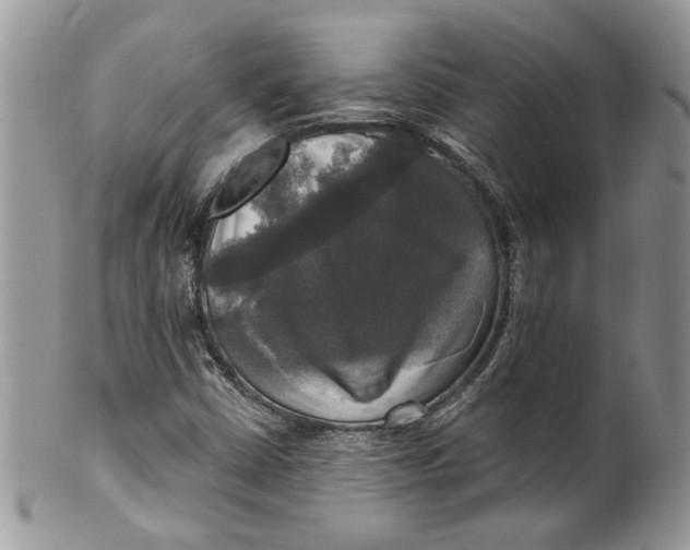 X0000099951402200806131437