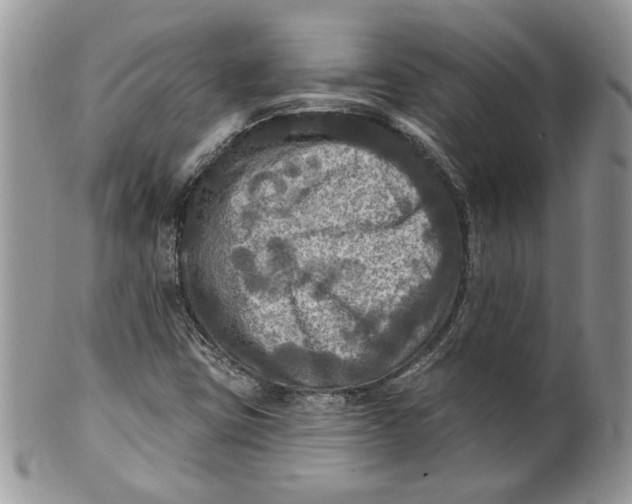 X0000099951403200806131437