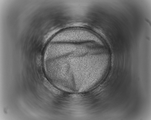 X0000099951404200806131437