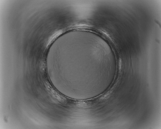 X0000099951405200806131437