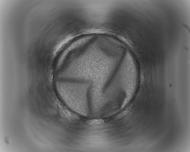 X0000099951406200806131437