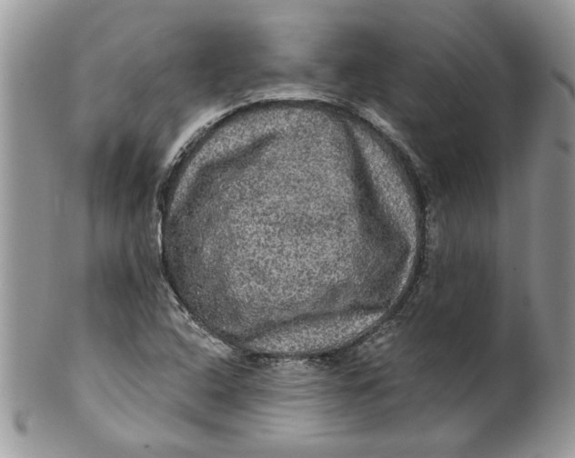 X0000099951408200806131437