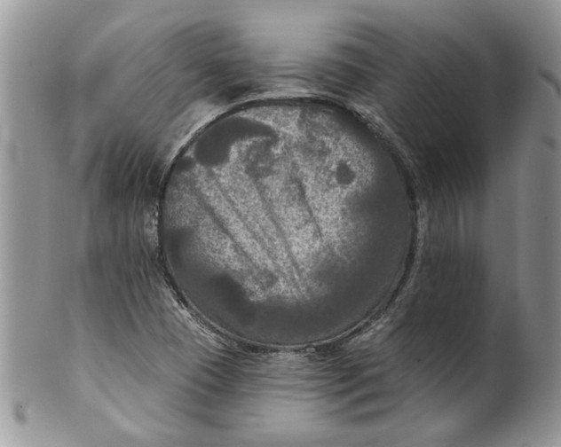 X0000099951409200806131437