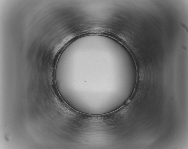 X0000099951410200806131437