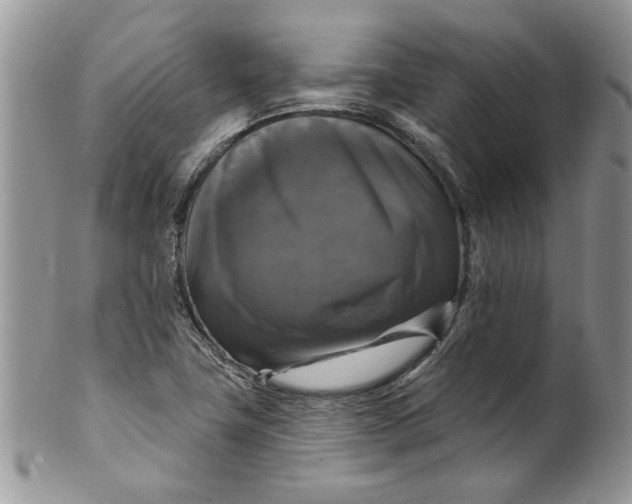 X0000099951411200806131437