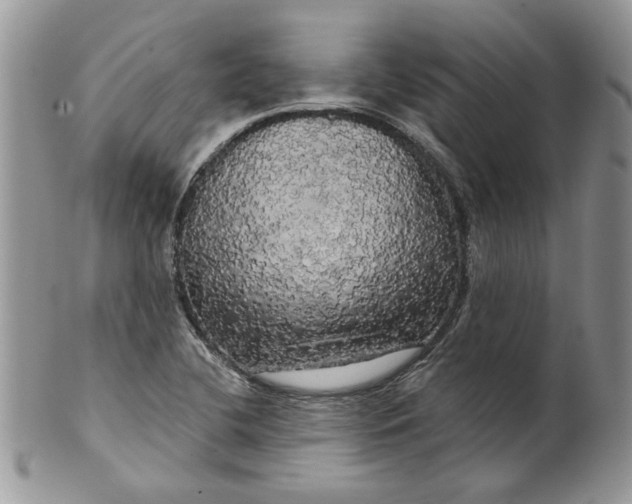 X0000099951412200806131437