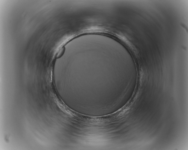 X0000099951413200806131437