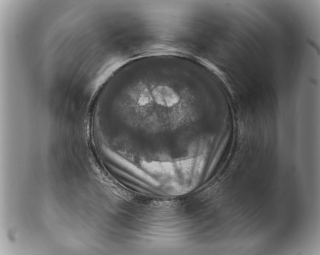 X0000099951415200806131437