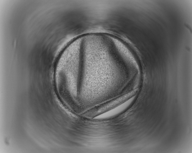 X0000099951416200806131437