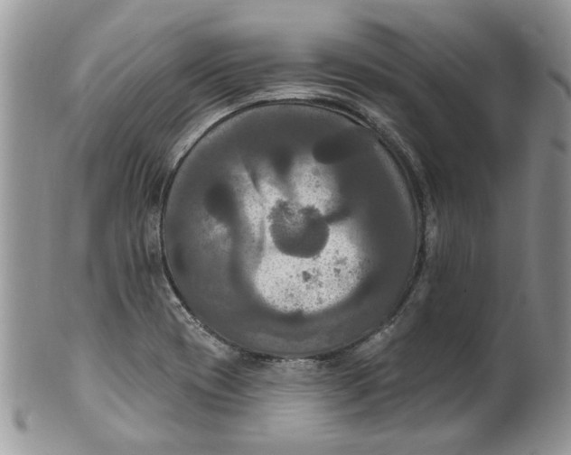 X0000099951417200806131437