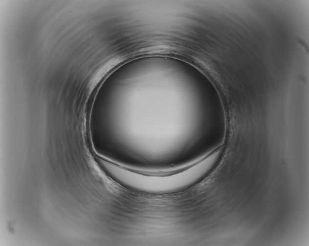 X0000099951418200806131437