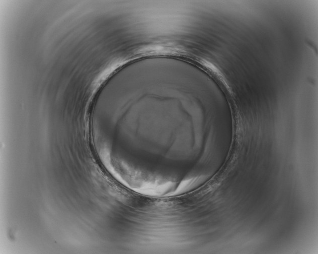 X0000099951419200806131437