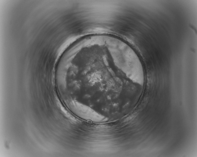 X0000099951421200806131437