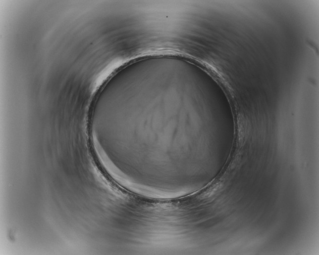 X0000099951422200806131437