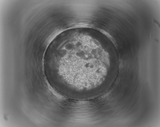 X0000099951423200806131437