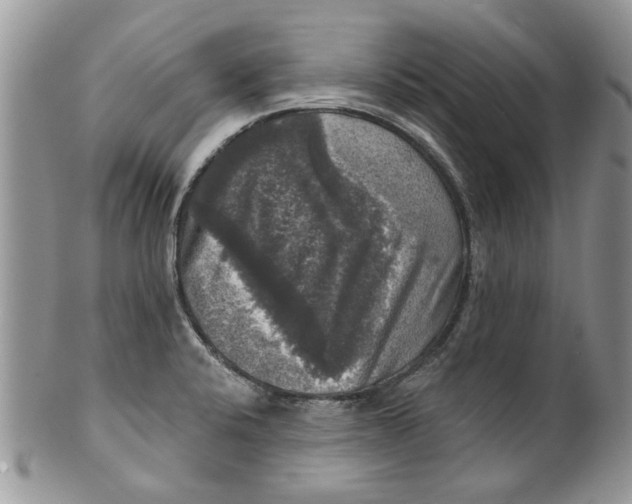 X0000099951424200806131438