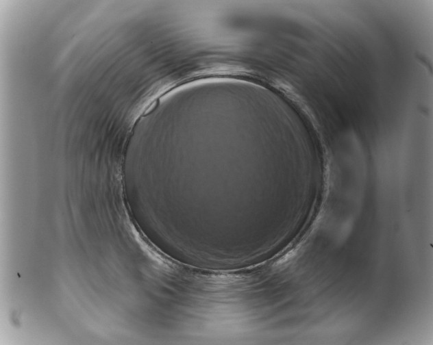 X0000099951425200806131438