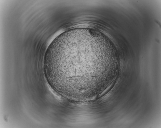 X0000099951426200806131438