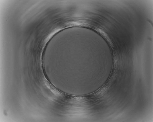 X0000099951427200806131438