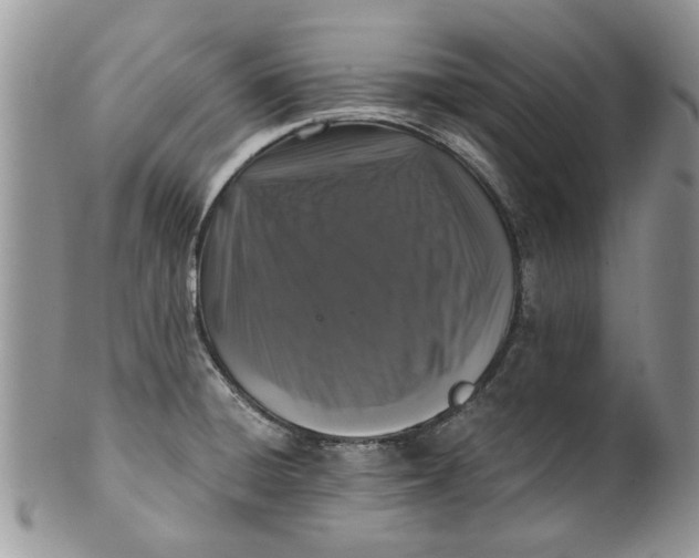 X0000099951428200806131438