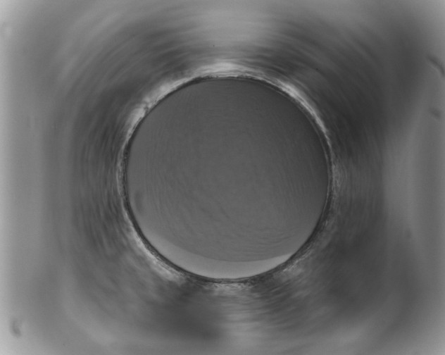 X0000099951429200806131438