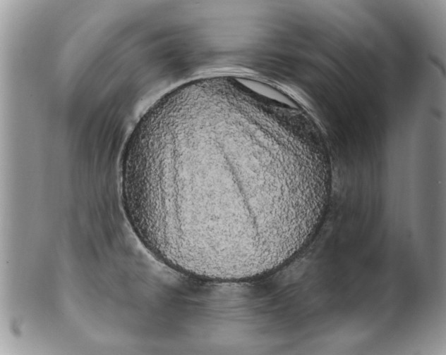 X0000099951430200806131438