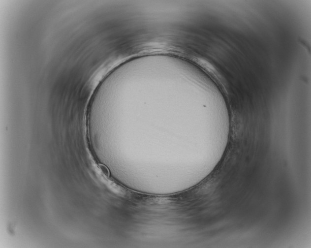 X0000099951431200806131438