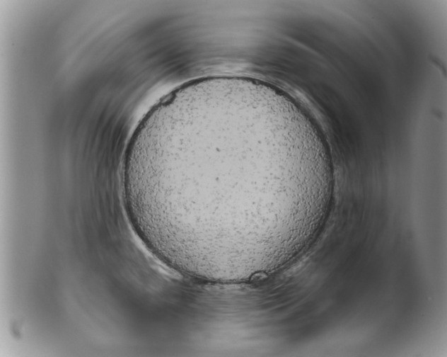 X0000099951432200806131438