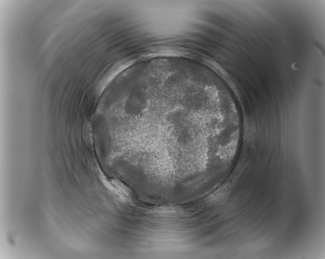 X0000099951433200806131438