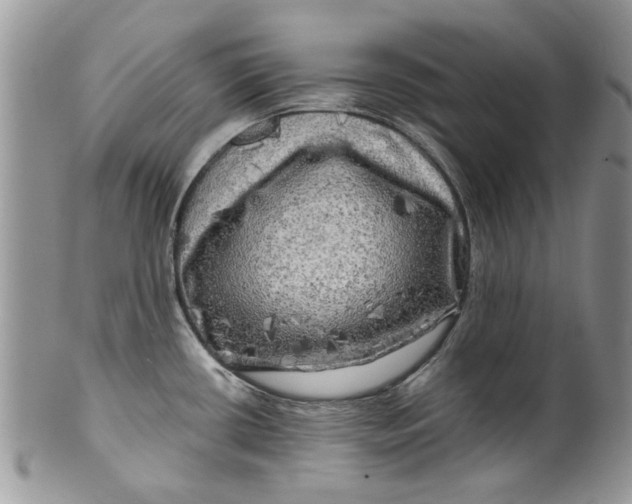 X0000099951434200806131438