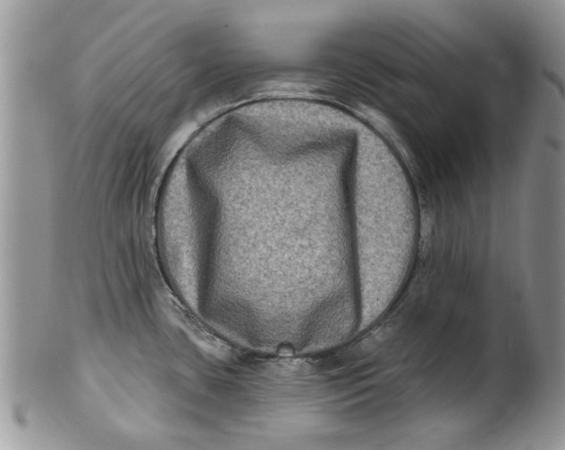 X0000099951435200806131438